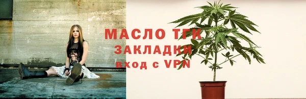 хмурый Арсеньев