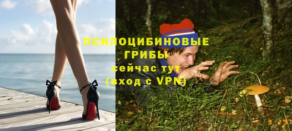 хмурый Арсеньев