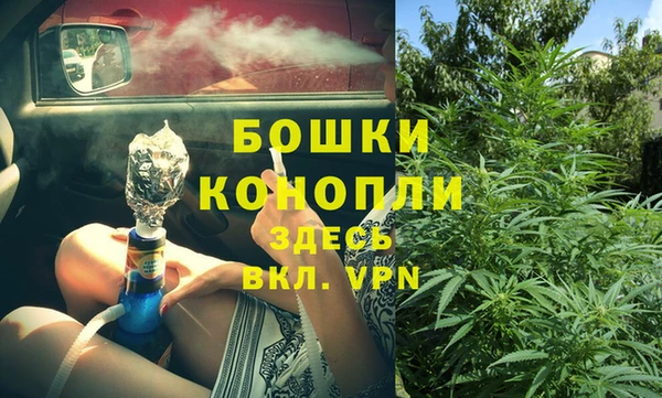 хмурый Арсеньев