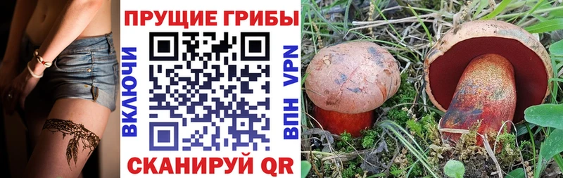 даркнет сайт  МЕГА ONION  Галлюциногенные грибы Cubensis  Никольское 